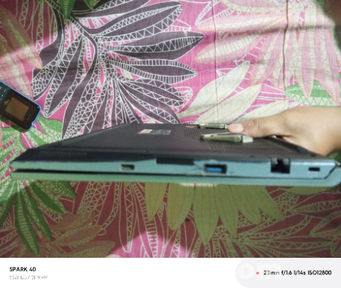 Walton Tamarind MX7 11G